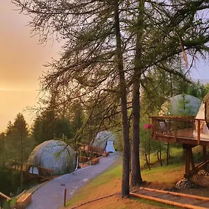 *** Hotel Alpin D'home & France